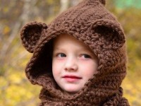 Bear Hood